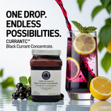 All Natural Black Currant Concentrate – Order Now at CurrantC