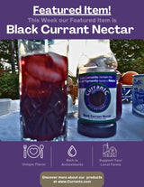 Black Currant Nectar (16 oz.) - 100% All Natural