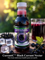 Black Currant Nectar (16 oz.) - 100% All Natural