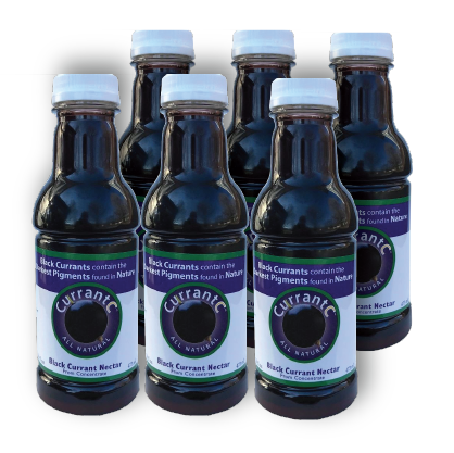 Black Currant Nectar (16 oz.) - 100% All Natural