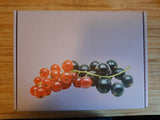 CurrantC™ Extra Large Gift Box