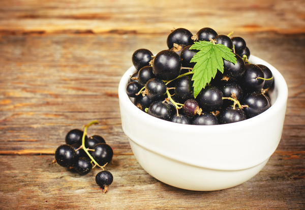 black currants in a white bowl