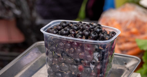Farm-to-Table Fruits: How Hudson Valley Black Currant Farms Are Shaping America's Sustainable Food Movement