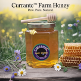CurrantC™ Raw Honey w/ Wand
