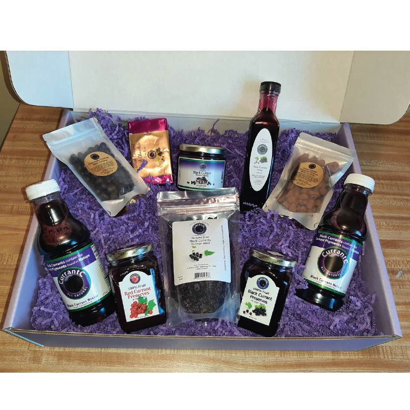 CurrantC™ Extra Large Gift Box — CurrantC™