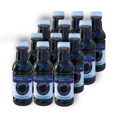 Black Currant Nectar (16 oz.) - 100% All Natural